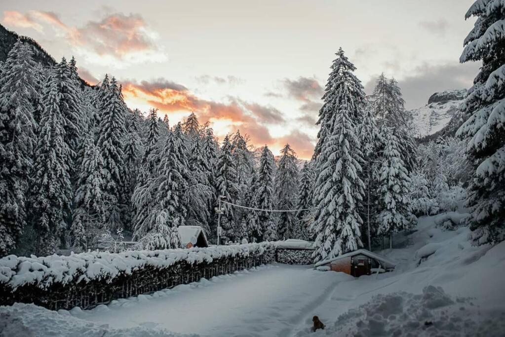 Idyllic Triglav Forest Retreat - Alps, Trails, Lakes, Falls Mojstrana Exterior foto